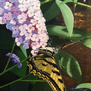 Tiger Swallowtail Butterfly by Jessica Keller