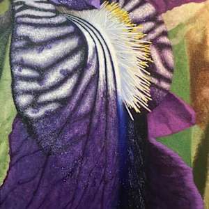 Purple Iris by Jessica Keller