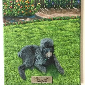 Peter by Jessica Keller  Image: Donation