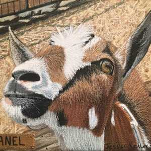 Pet Portrait (Donation) by Jessica Keller