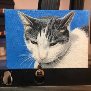 Multiple Cat Portraits by Jessica Keller 