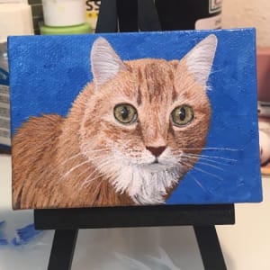 Cat Portraits by Jessica Keller