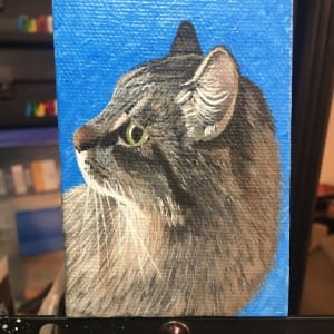 Cat Portraits by Jessica Keller 
