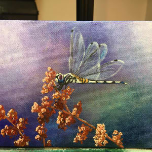 Purple Dragonfly by Jessica Keller