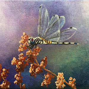 Purple Dragonfly by Jessica Keller