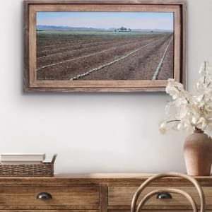 Cotton Farm by Jessica Keller 