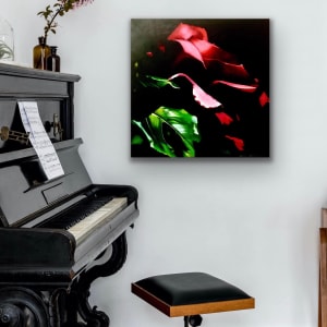 Shadowed Rose by Jessica Keller 