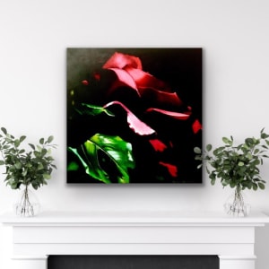 Shadowed Rose by Jessica Keller 