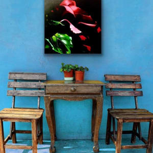 Shadowed Rose by Jessica Keller 