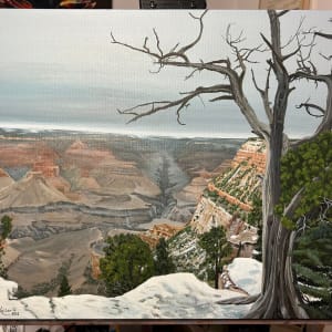 Grand Canyon South Rim by Jessica Keller