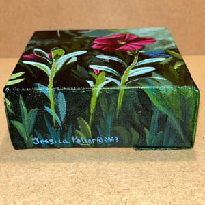 Magenta Petunia by Jessica Keller 