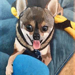 Gizmo by Jessica Keller