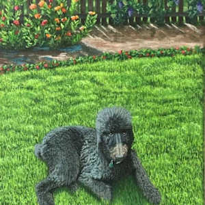 Peter by Jessica Keller