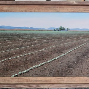 Cotton Farm by Jessica Keller 