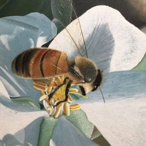 Honey Bee & Apple Blossom