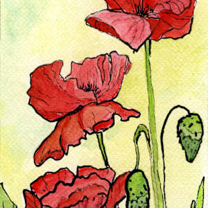 Crimson Song by Sue Dolamore