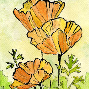 Orange Echoes by Sue Dolamore