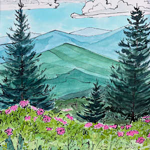 A Quiet Altitude by Sue Dolamore