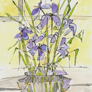 Irises by Sue Dolamore