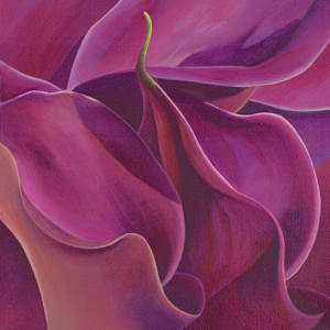 No. 134 Calla Lily - Passionate Heart by Renée Switkes