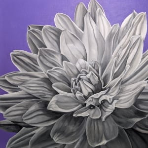 No. 29 Dahlia - Distinction I by Renée Switkes