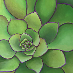 No. 83 Aeonium - Everlasting by Renée Switkes