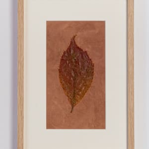 Leaf on Madder by Susan D'souza
