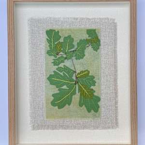 Oak Tree Leaves by Susan D'souza