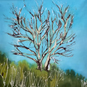 Silver Birches by Susan D'souza
