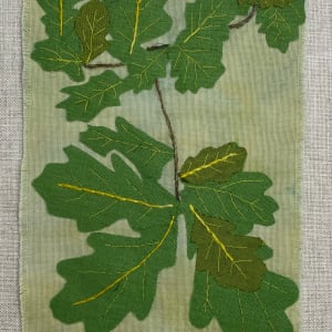 Oak Tree Leaves by Susan D'souza