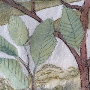 Whitebeam Leaves by Susan D'souza