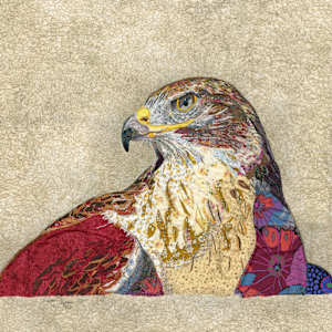 Hawkeye.  Ferruginous Hawk (Buteo regalis) by Susan Fay Schauer 