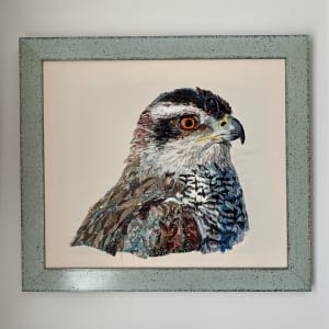 "Cooper's Cousin"  Mother Cook's Hawk.  Northern Goshawk (Accipiter gentilis) by Susan Fay Schauer Fiber Artist 