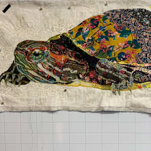 Skittles II - Red-eared Slider ( Trachemys scripta elegans) by Susan Fay Schauer Fiber Artist 