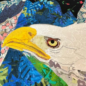 "Sky High"  -  Bald Eagle (Haliaeetus leucocephalus) by Susan Fay Schauer