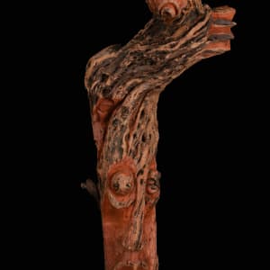 Movements by Harold Murray 