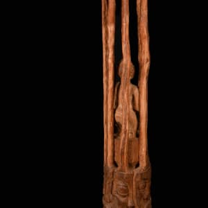 Protected by the Forces of Nature by Harold Murray 