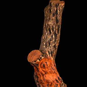 Everything comes in two's by Harold Murray 