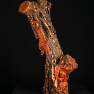 Everything comes in two's by Harold Murray  Image: Everything comes in two's