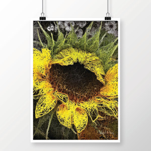 Lacy Sunflower by Barbara Storey 