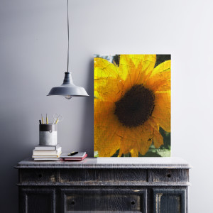 Antique Sunflower by Barbara Storey 