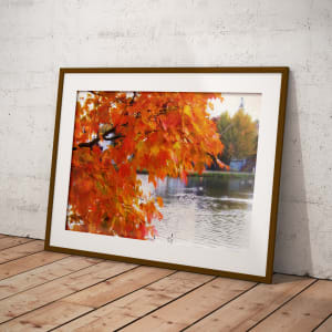 Autumn on Wellesley Pond by Barbara Storey 