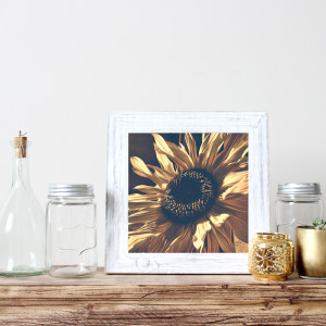 Boho Sunflower by Barbara Storey 
