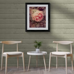 Faded Pink Rose by Barbara Storey  Image: Faded Pink Rose - room view