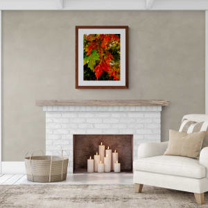 Fiery Foliage by Barbara Storey 