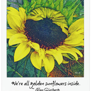 Golden Sunflowers by Barbara Storey