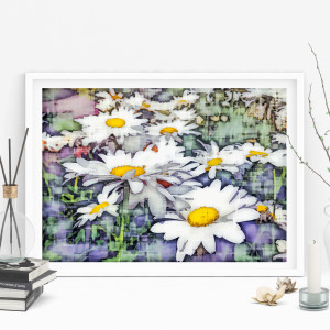 Impressions of Daisies by Barbara Storey 
