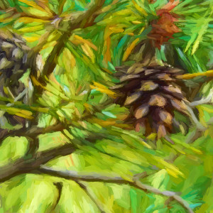 Pine Bough by Barbara Storey  Image: Pine Bough - detail