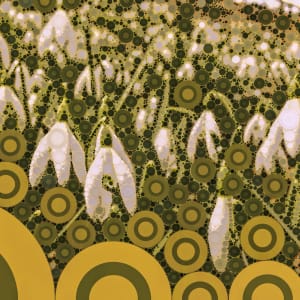 Snowdrops - Homage to Klimt by Barbara Storey