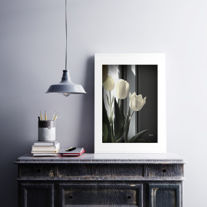 Tulips in Spring Light by Barbara Storey 